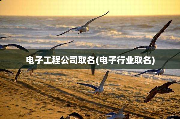 电子工程公司取名(电子行业取名)