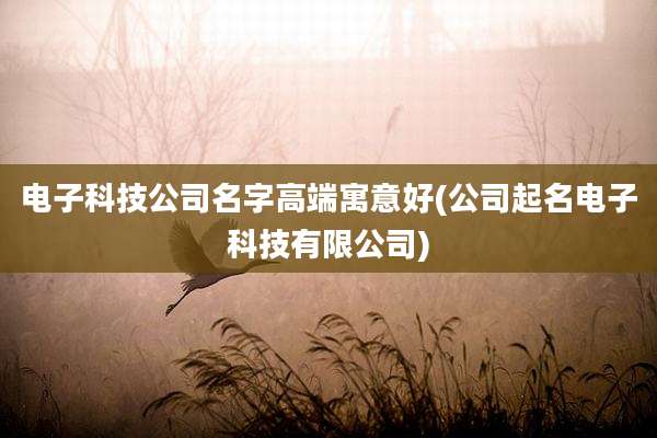 电子科技公司名字高端寓意好(公司起名电子科技有限公司)