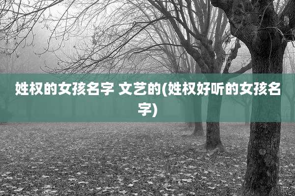 姓权的女孩名字 文艺的(姓权好听的女孩名字)