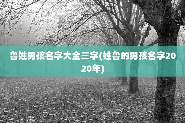 鲁姓男孩名字大全三字(姓鲁的男孩名字2020年)
