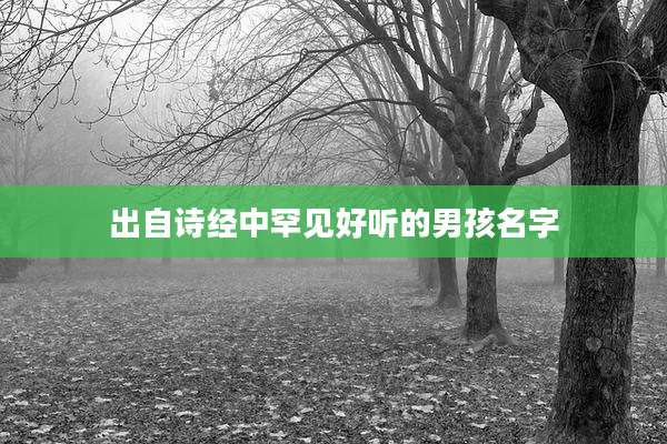 出自诗经中罕见好听的男孩名字