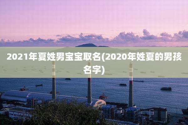 2021年夏姓男宝宝取名(2020年姓夏的男孩名字)