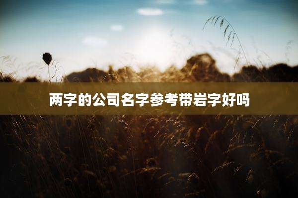 两字的公司名字参考带岩字好吗