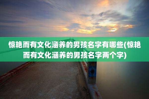 惊艳而有文化涵养的男孩名字有哪些(惊艳而有文化涵养的男孩名字两个字)