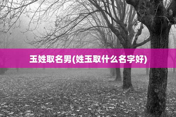 玉姓取名男(姓玉取什么名字好)