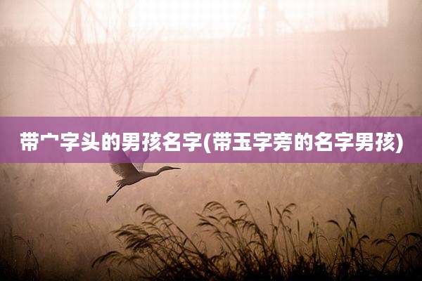带宀字头的男孩名字(带玉字旁的名字男孩)