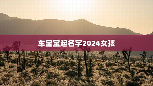 车宝宝起名字2024女孩