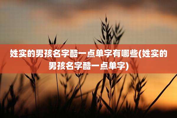 姓实的男孩名字酷一点单字有哪些(姓实的男孩名字酷一点单字)