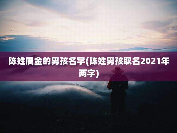 陈姓属金的男孩名字(陈姓男孩取名2021年两字)