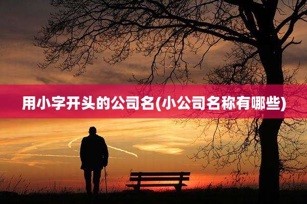 用小字开头的公司名(小公司名称有哪些)