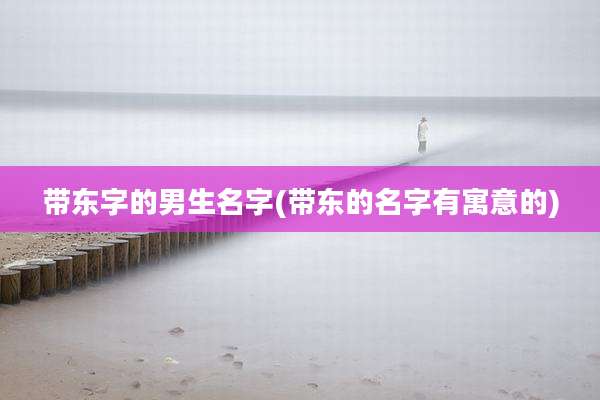 带东字的男生名字(带东的名字有寓意的)