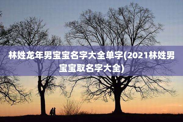 林姓龙年男宝宝名字大全单字(2021林姓男宝宝取名字大全)