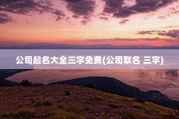 公司起名大全三字免费(公司取名 三字)