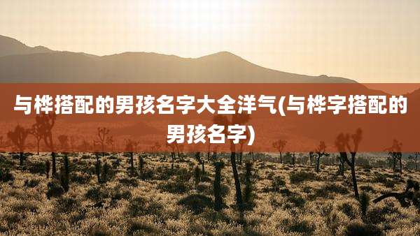 与桦搭配的男孩名字大全洋气(与桦字搭配的男孩名字)