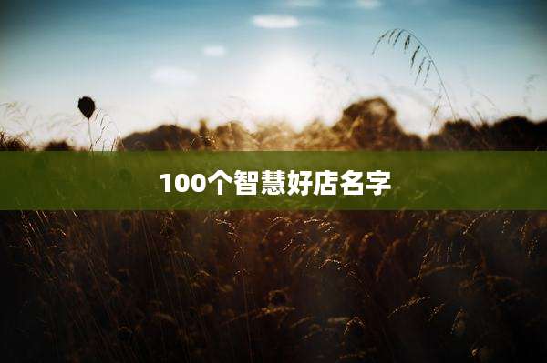 100个智慧好店名字