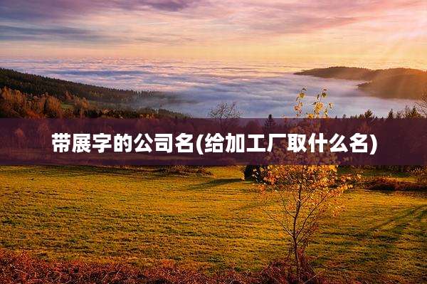 带展字的公司名(给加工厂取什么名)