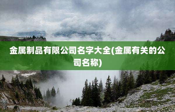 金属制品有限公司名字大全(金属有关的公司名称)