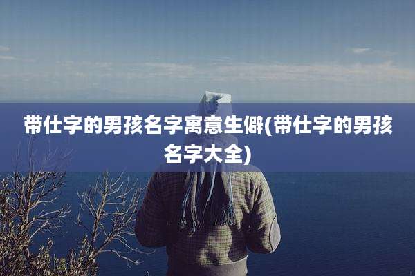 带仕字的男孩名字寓意生僻(带仕字的男孩名字大全)