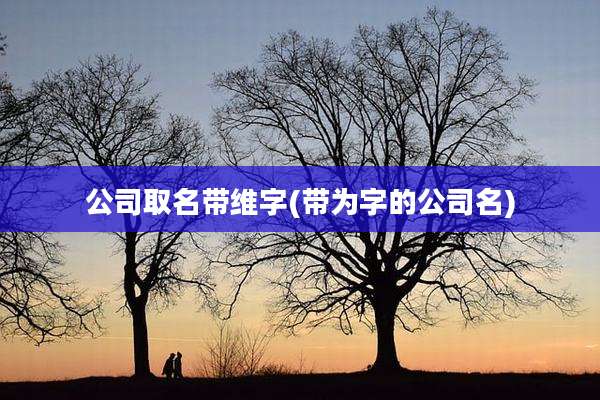 公司取名带维字(带为字的公司名)