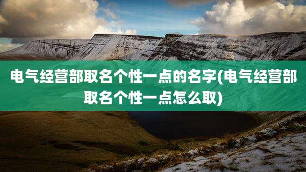 电气经营部取名个性一点的名字(电气经营部取名个性一点怎么取)
