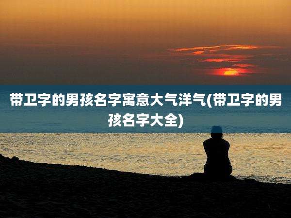 带卫字的男孩名字寓意大气洋气(带卫字的男孩名字大全)
