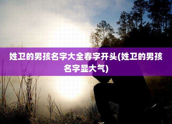 姓卫的男孩名字大全春字开头(姓卫的男孩名字显大气)