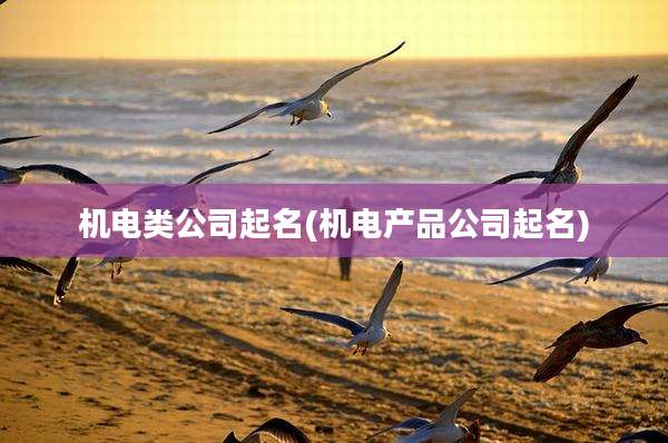 机电类公司起名(机电产品公司起名)
