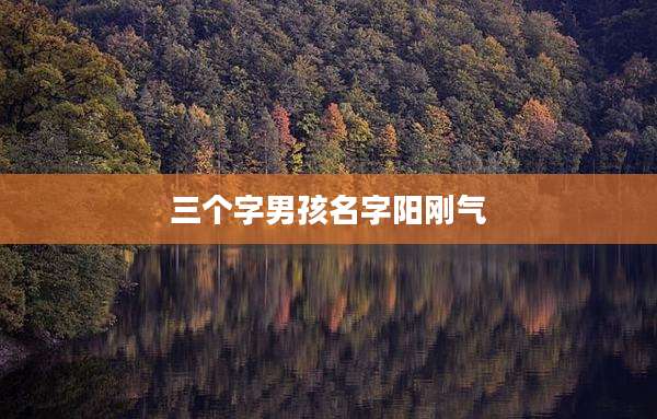 三个字男孩名字阳刚气