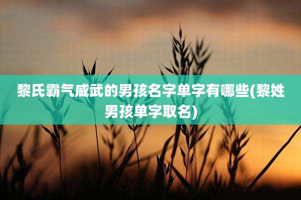 黎氏霸气威武的男孩名字单字有哪些(黎姓男孩单字取名)