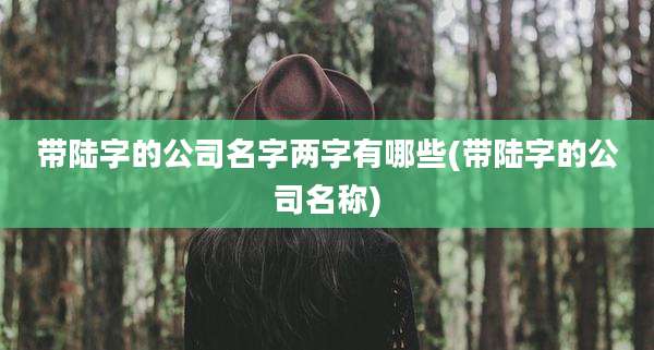 带陆字的公司名字两字有哪些(带陆字的公司名称)