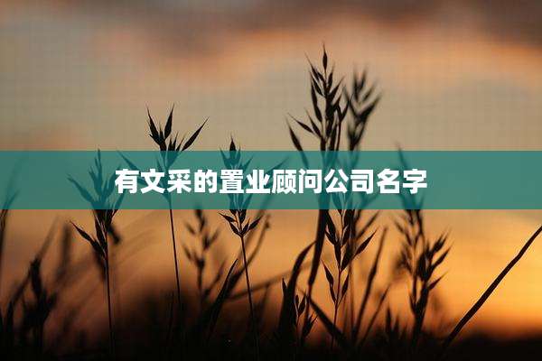 有文采的置业顾问公司名字