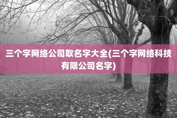 三个字网络公司取名字大全(三个字网络科技有限公司名字)