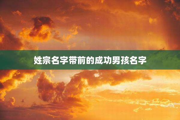 姓宗名字带前的成功男孩名字