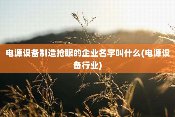 电源设备制造抢眼的企业名字叫什么(电源设备行业)