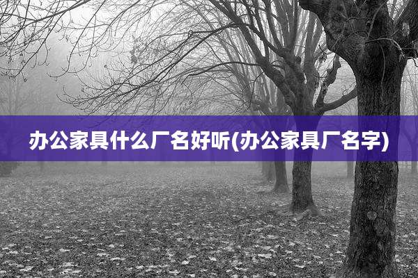 办公家具什么厂名好听(办公家具厂名字)