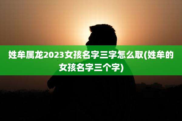 姓牟属龙2023女孩名字三字怎么取(姓牟的女孩名字三个字)