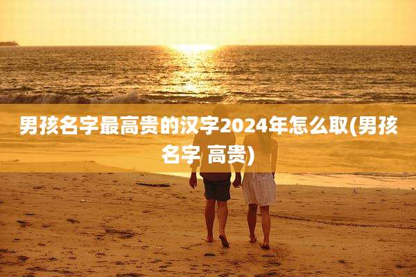 男孩名字最高贵的汉字2024年怎么取(男孩名字 高贵)