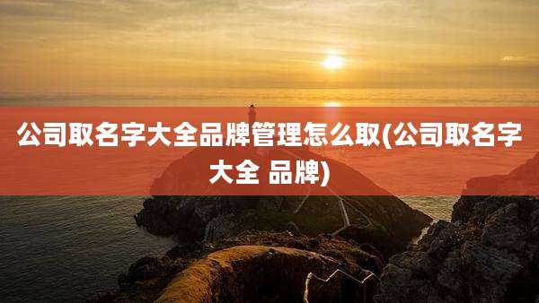 公司取名字大全品牌管理怎么取(公司取名字大全 品牌)
