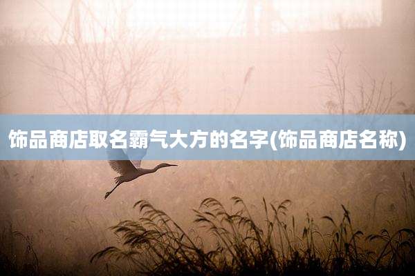 饰品商店取名霸气大方的名字(饰品商店名称)