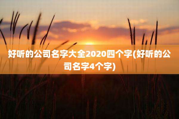 好听的公司名字大全2020四个字(好听的公司名字4个字)
