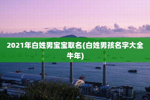 2021年白姓男宝宝取名(白姓男孩名字大全牛年)