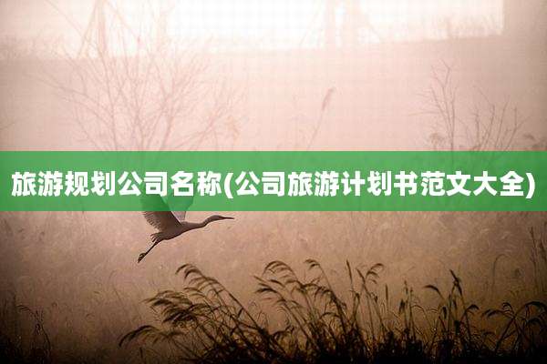 旅游规划公司名称(公司旅游计划书范文大全)