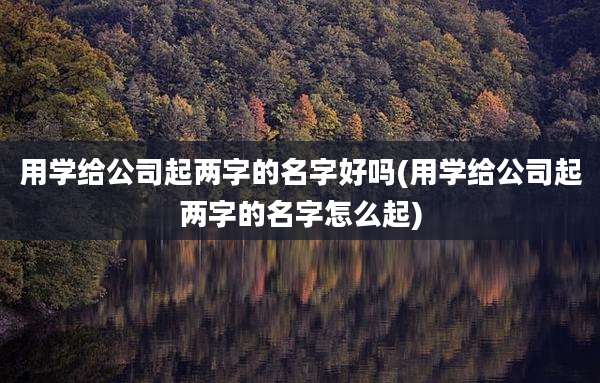 用学给公司起两字的名字好吗(用学给公司起两字的名字怎么起)