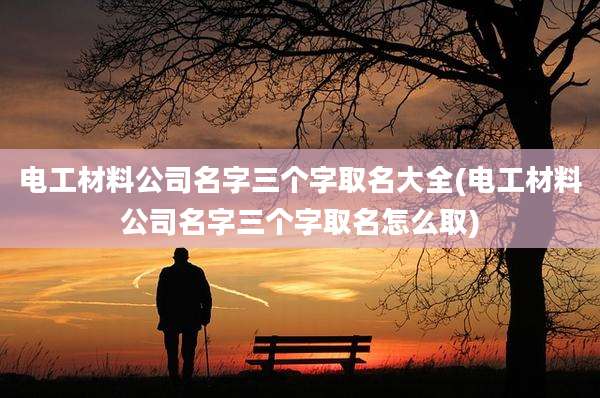 电工材料公司名字三个字取名大全(电工材料公司名字三个字取名怎么取)