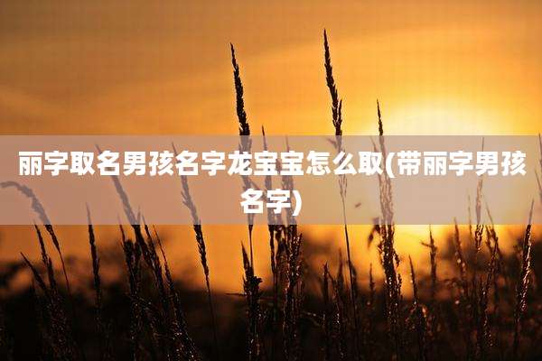 丽字取名男孩名字龙宝宝怎么取(带丽字男孩名字)