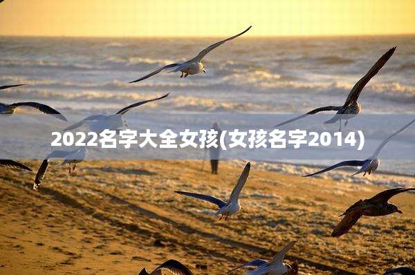 2022名字大全女孩(女孩名字2014)