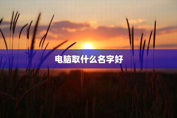 电脑取什么名字好