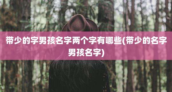 带少的字男孩名字两个字有哪些(带少的名字男孩名字)
