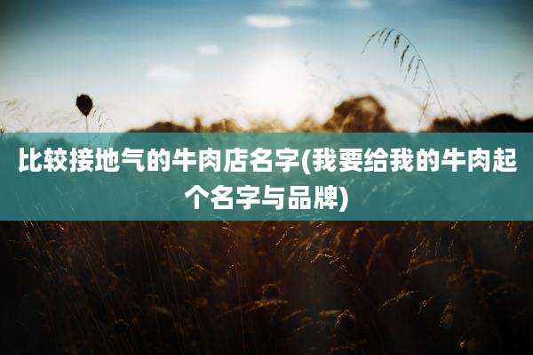 比较接地气的牛肉店名字(我要给我的牛肉起个名字与品牌)