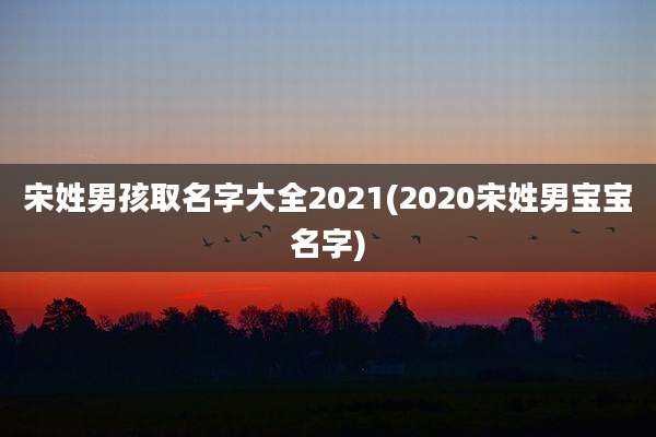 宋姓男孩取名字大全2021(2020宋姓男宝宝名字)